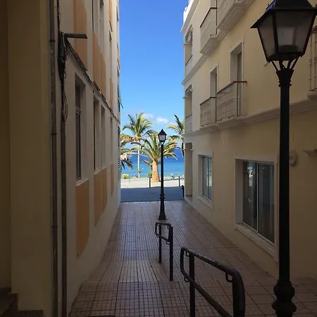 Palma Sun